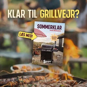 opslagsbillede