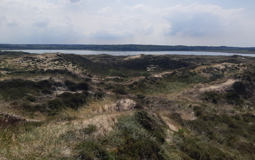 Udforsk Isbjerg i Nationalpark Thy med "Gå i gang"-ture