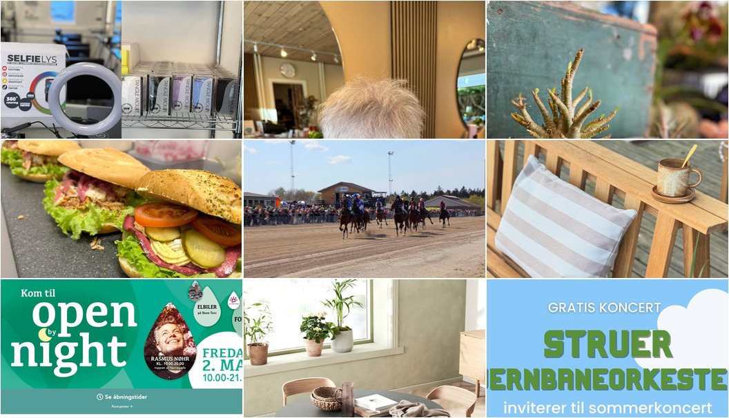 Nyt fra Florist Pernille DB, Gimsinghoved, MEJDAL AUTO og 9 andre