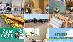 Nyt fra Florist Pernille DB, Gimsinghoved, MEJDAL AUTO og 9 andre