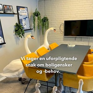 Opslagsbillede