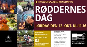 Efterårsferie på Kringsminde: Smagsoplevelser og aktiviteter for alle