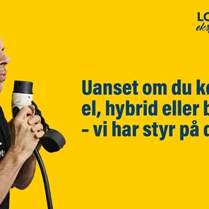 Opslagsbillede