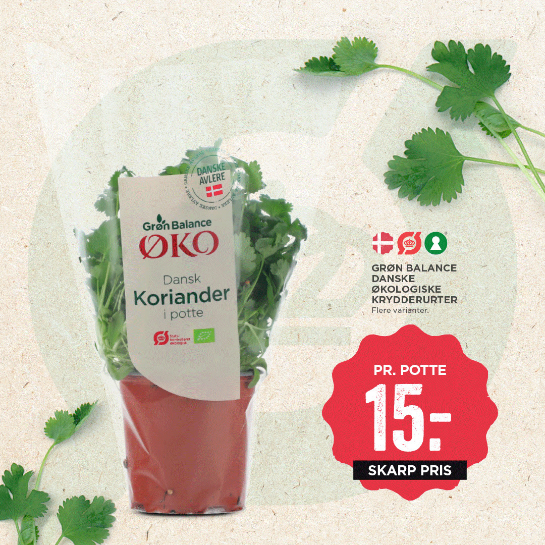 En finger på pulsen i Randers