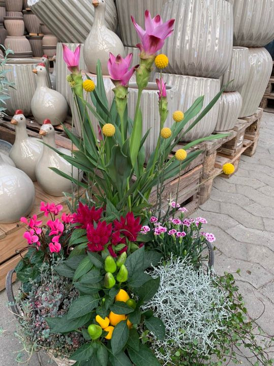 Hold trit med lokalområdet: Nyt fra Brønderslev