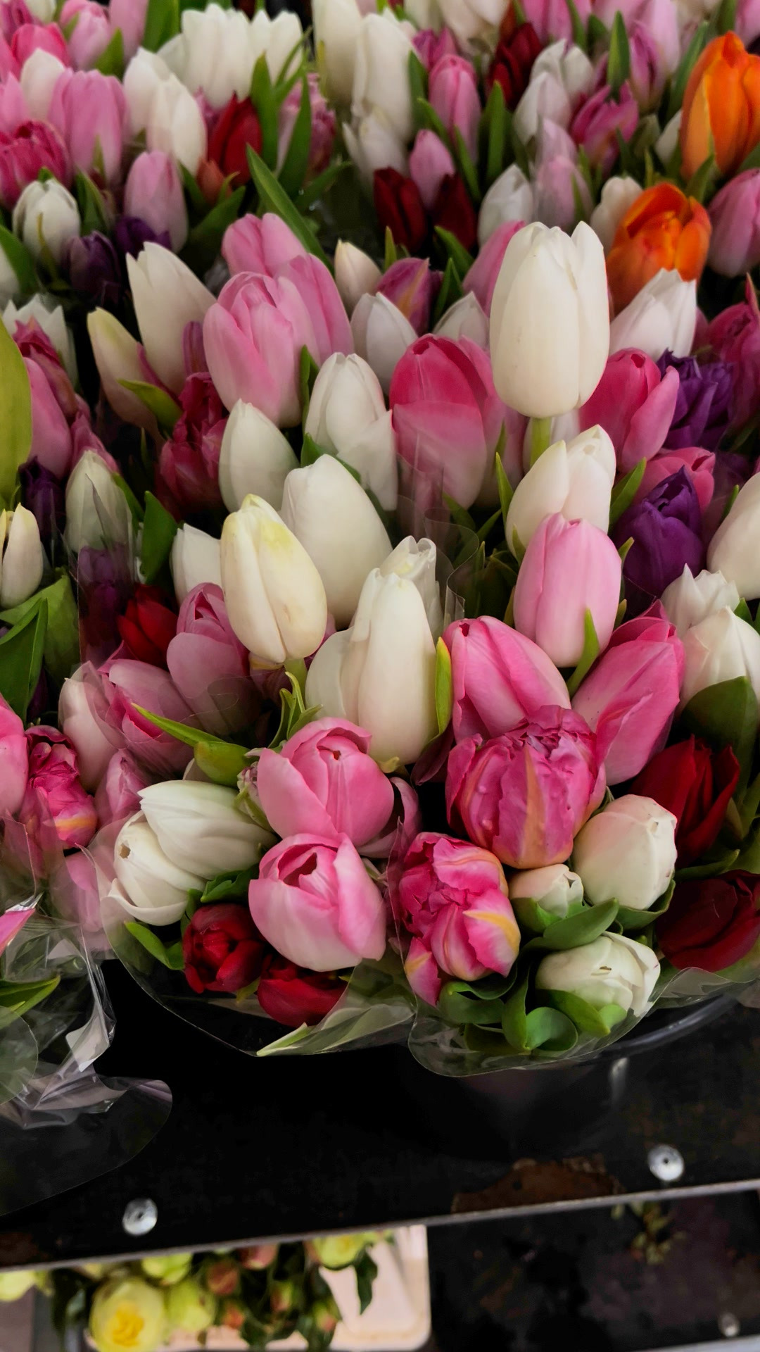 Midtjysk blomstermarked tilbyder tulipaner til kun 9,95 kr. per bundt i begrænset periode