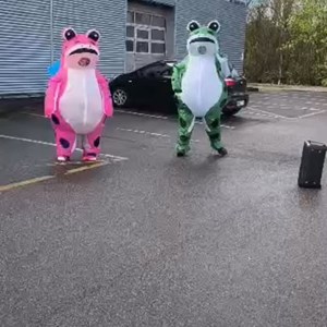 Opslagsbillede
