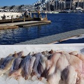 Superbrugsen Dronninglund tilbyder friske rødspættefileter til ja tak-pris