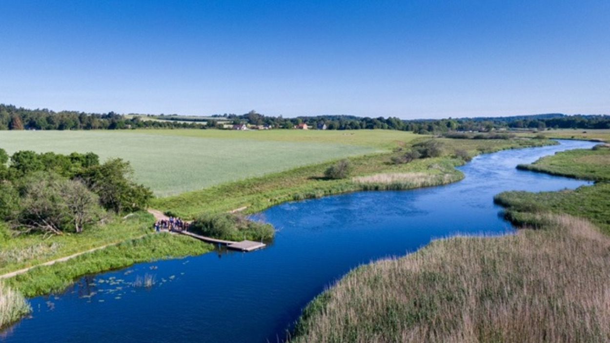 Grøden i Gudenåen skæres fra først i juli måned