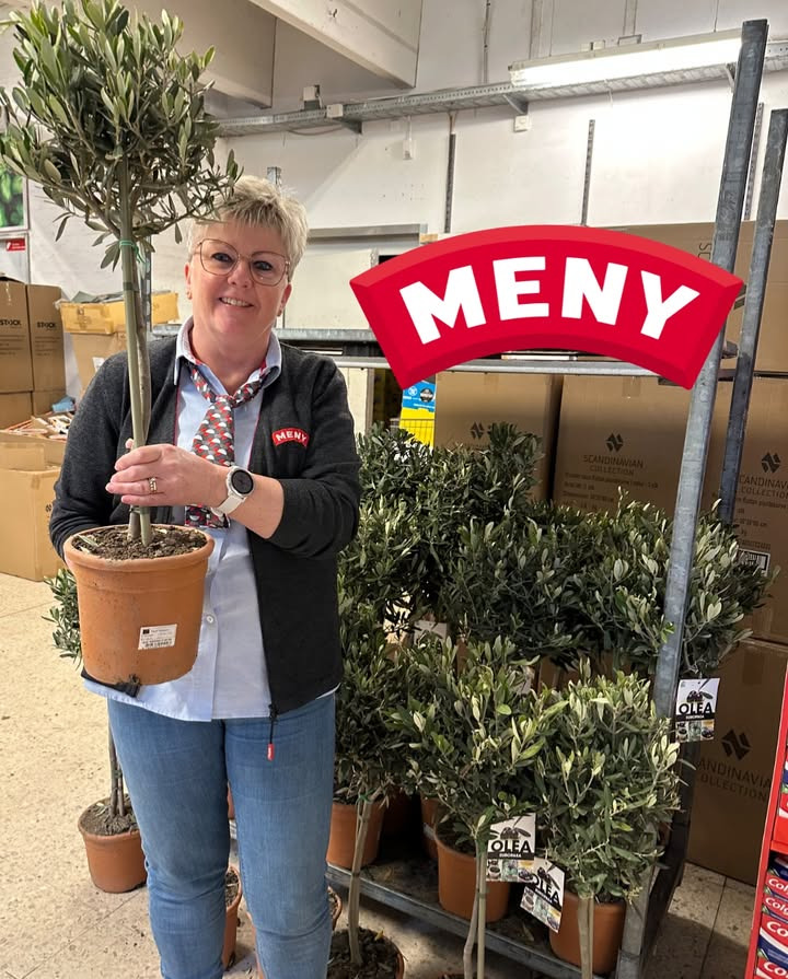 MENY Gl. Skagensvej tilbyder oliventræer til specialpris