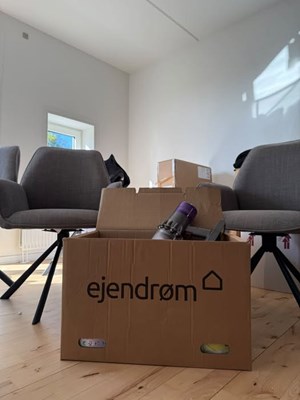 opslagsbillede