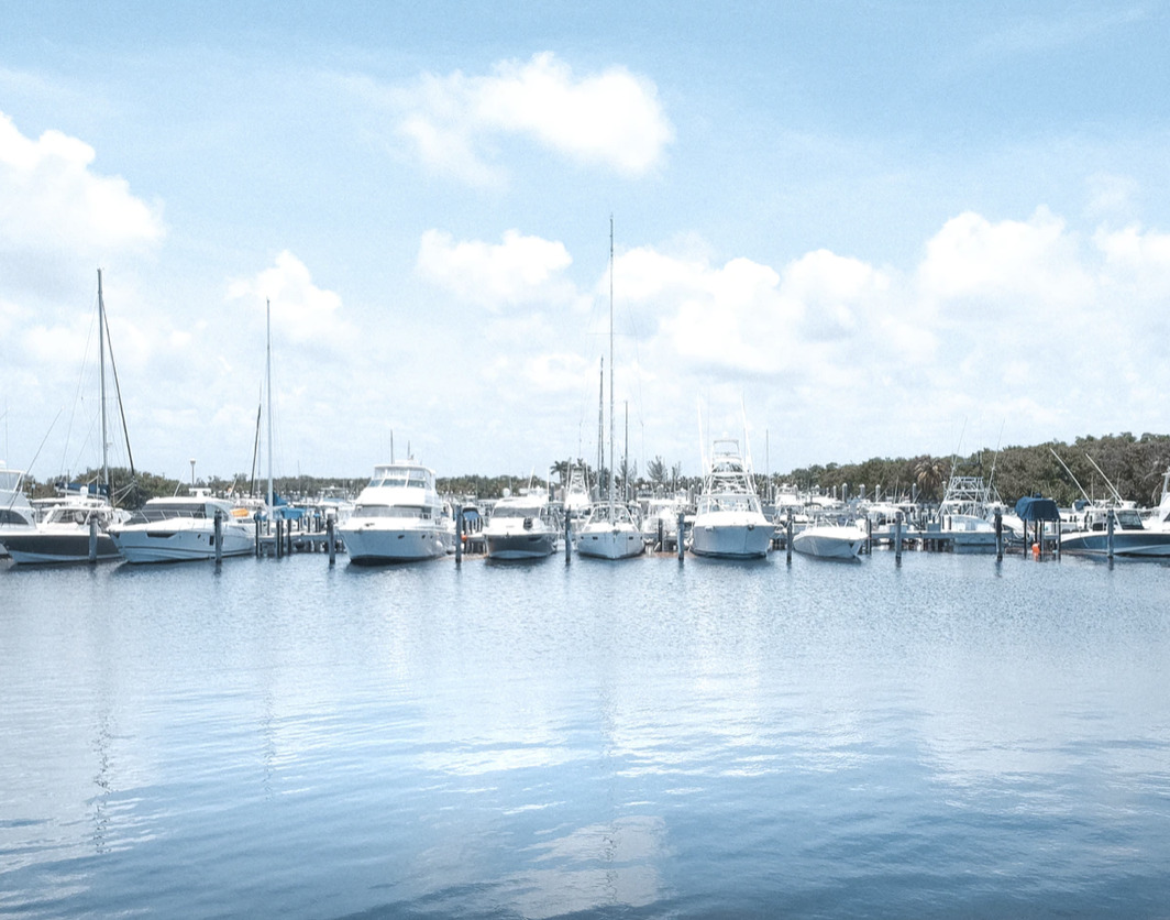 Gratis koncert med Aura Dione på Hundested havn