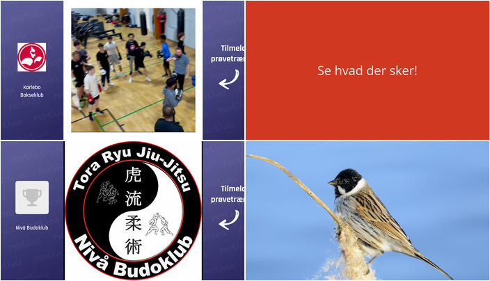 Oplev en spændende weekend i Nivå med boksning, jiu-jitsu og fugleoplevelser
