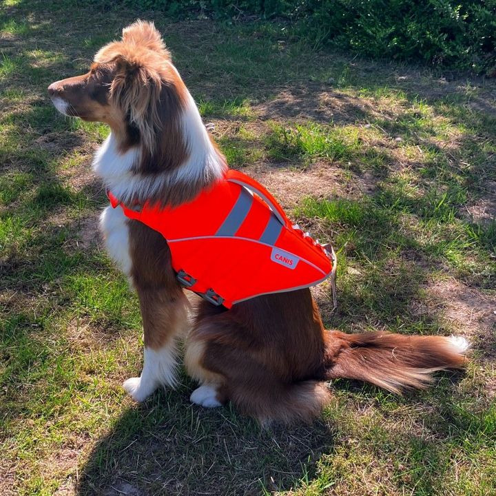 En finger på pulsen i Risskov