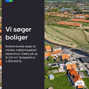 Opslagsbillede