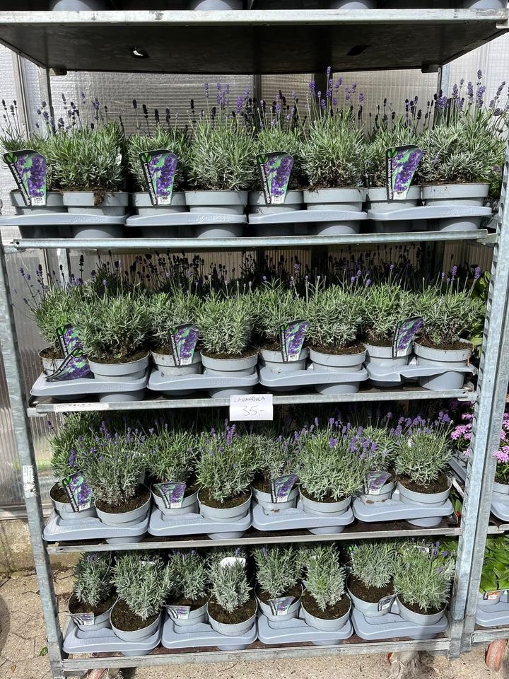 Nyt på opslagstavlen i Horsens