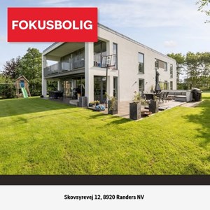 Opslagsbillede