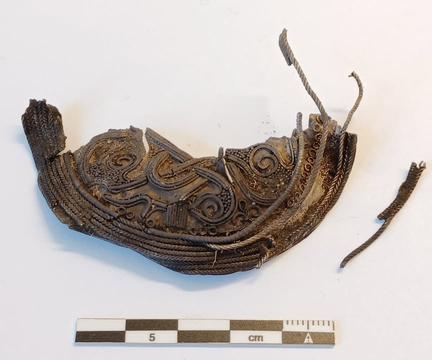 Sølvbroche fra vikingetiden opdaget på Thyholm af Museerne i Holstebro