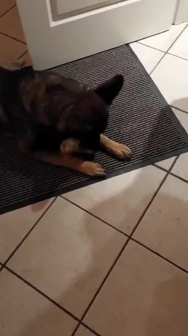 En finger på pulsen i Randers