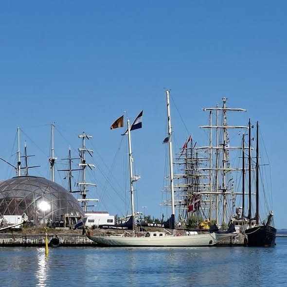 Aarhus Havnerundfart deler stemningsbilleder fra Tall Ships Raced