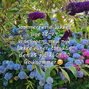 Opslagsbillede