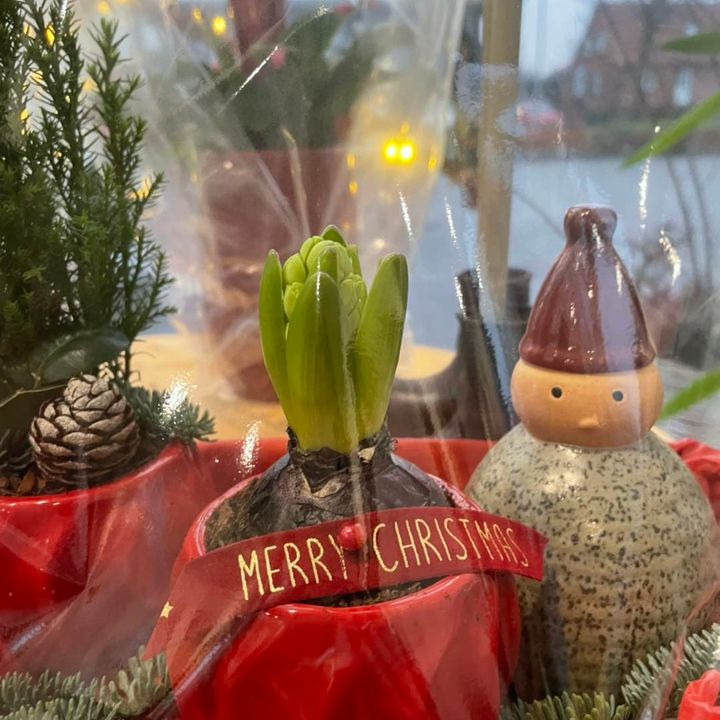 Det nyeste på Roslevs opslagstavle