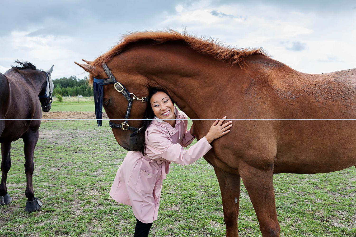 Lær at kommunikere med dyr - Basis aftenkursus med Ditte Young