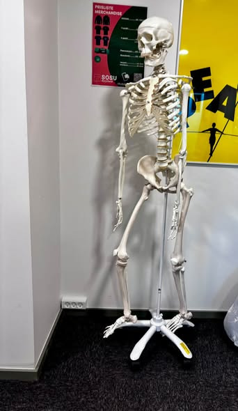 FOA Silkeborg-Skanderborg besøgte SOSU-skolen i Skanderborg