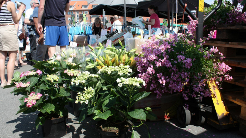 Pinsemarked i Nyborg: En dag fyldt med tradition og hygge