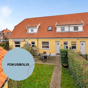 Opslagsbillede