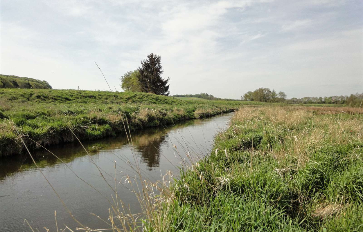Første miljøresultater på vandmålinger omkring Nordic Waste er klar