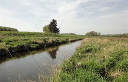 Første miljøresultater på vandmålinger omkring Nordic Waste er klar