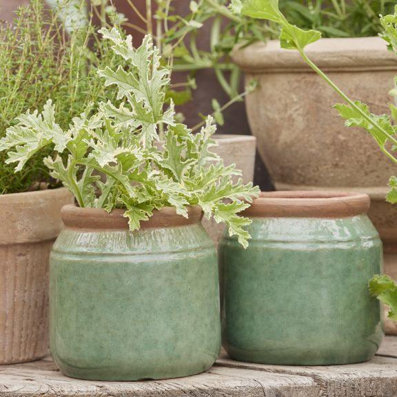 Rishøjgård Gårdbutik og Jordbrug opfordrer til besøg i havehuset for haveentusiaster