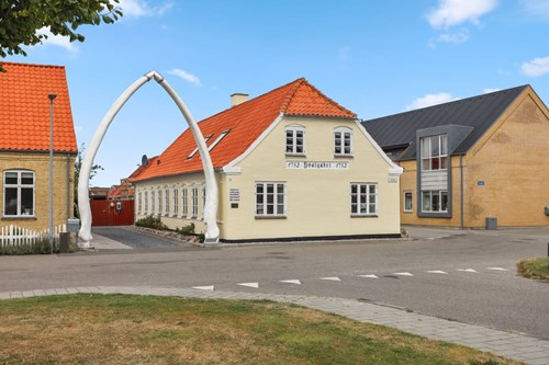 Opslagsbillede