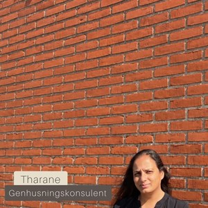 Opslagsbillede