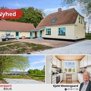 opslagsbillede