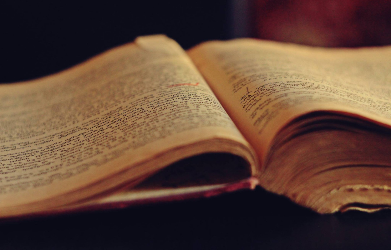 Skivebogen 2021 kommer tæt på faldefærdig ruin