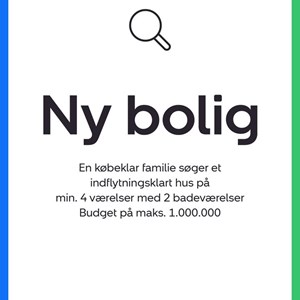 Opslagsbillede