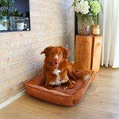 Meny Klarup genåbner salg af uafhentet TOT hundekurv i fløjl