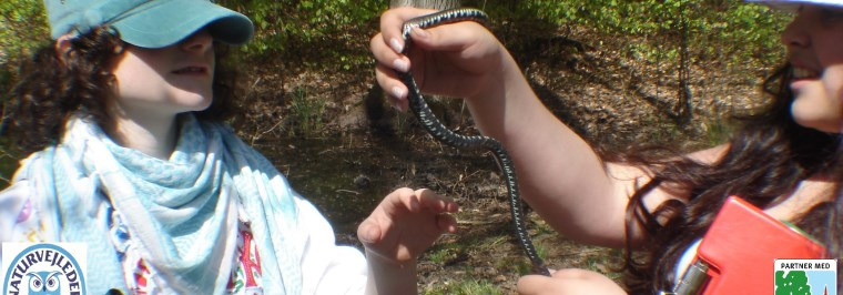 Bliv Junior Ranger i Nationalpark Kongernes Nordsjælland