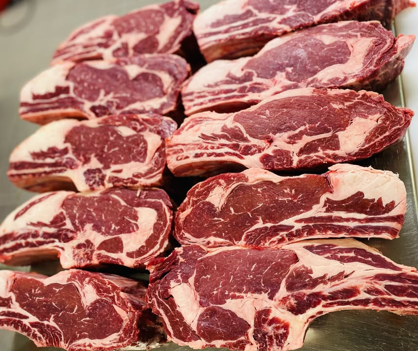 Løvbjerg Frederikshavn byder på bøffernes konge til spotpris