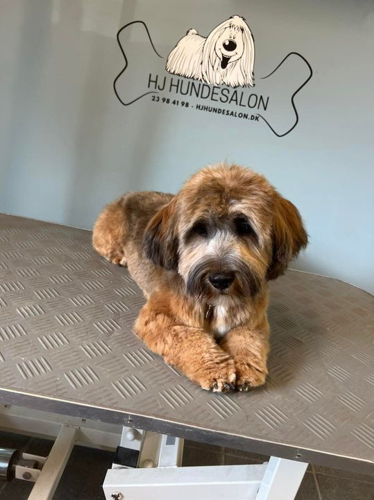 Opdatér dig her: Det nyeste fra Sæby