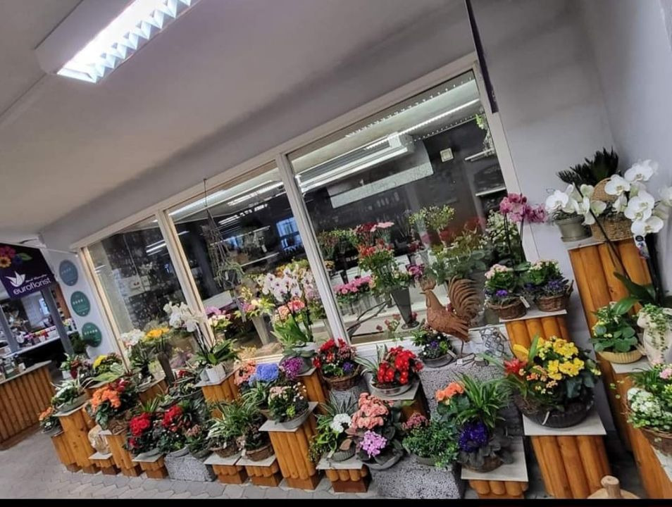 Asmild Plantecenter ApS tilbyder tilplantning af krukker og dekorationer