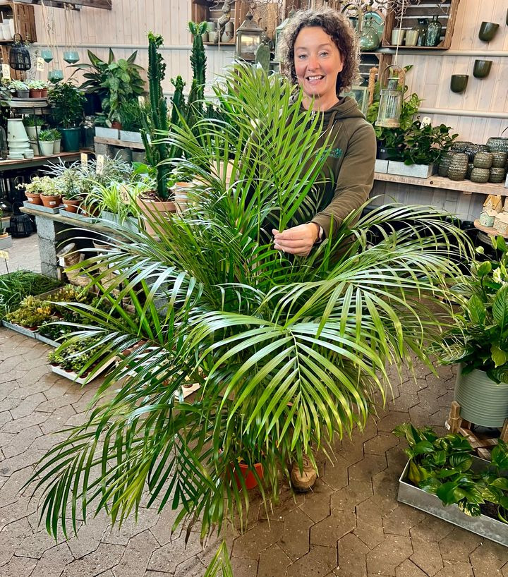 Det nyeste på Sæbys opslagstavle