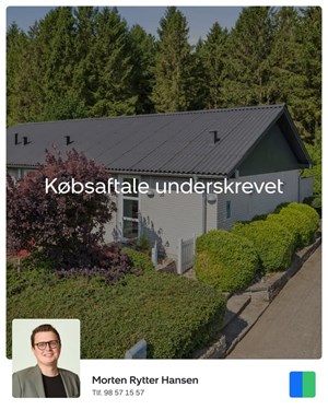 opslagsbillede