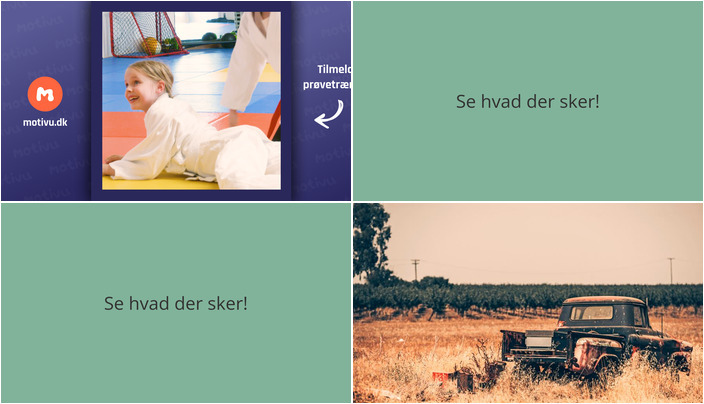 Oplev Ju-Jutsu og en aften med John Irving i Bramming