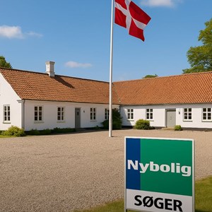 Opslagsbillede