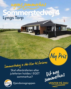 opslagsbillede