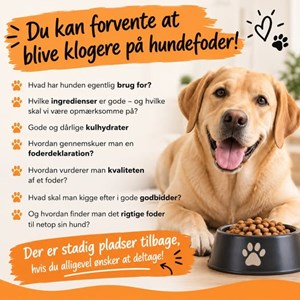 opslagsbillede