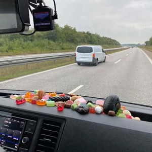 Opslagsbillede